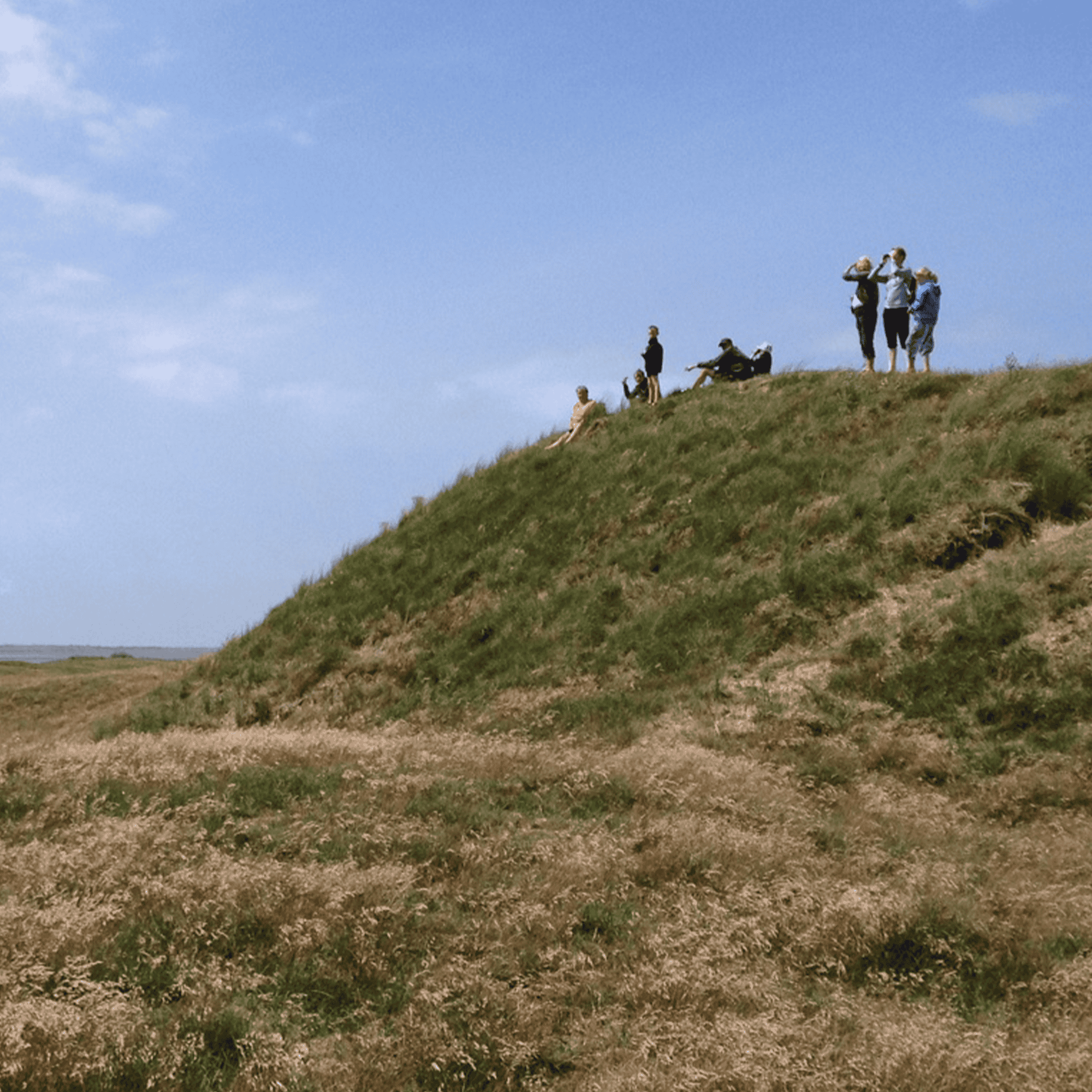 Group of people enjoying a sunny day on a grassy hill overlooking a wide open landscape