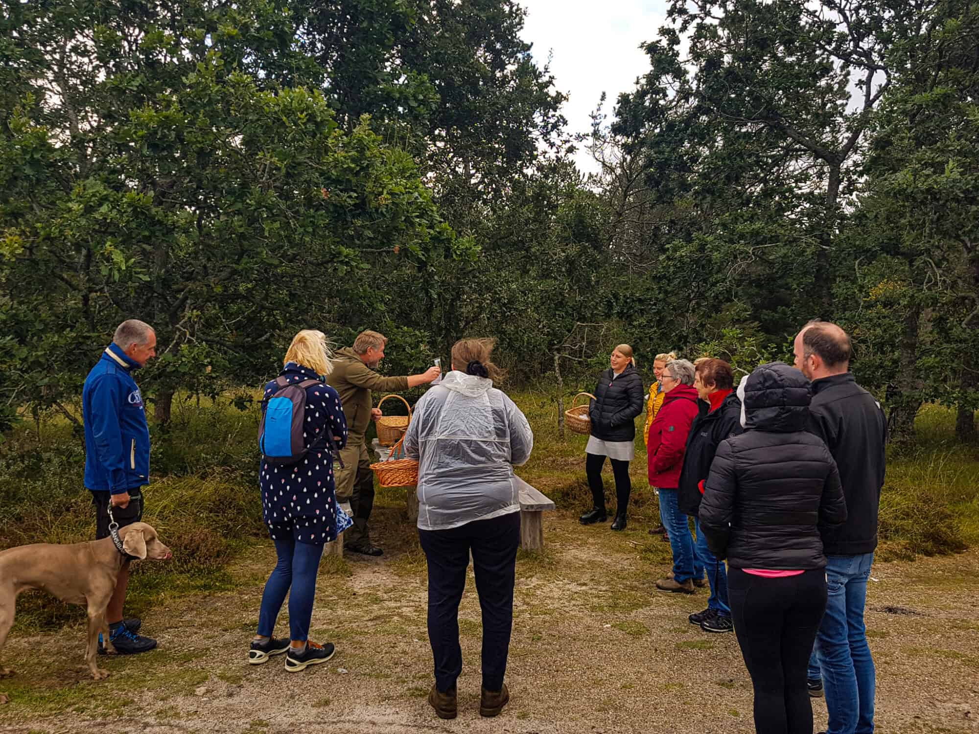 A diverse group of people standing around a picnic table in a park