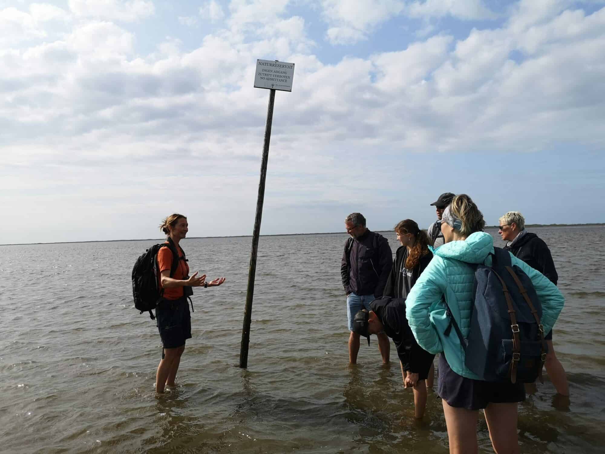 Group of people wading in water by a pole, having fun in the sun at the seaside.